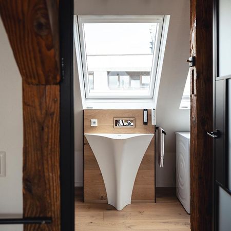 Historical Luxury Homes - Exclusive Selection フライブルク エクステリア 写真